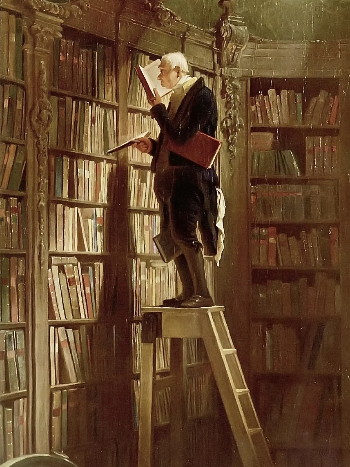 原作：书虫 (The Bookworm)